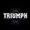 Логотип телеграм канала @trmfst — TRIUMPH