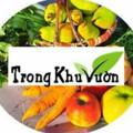 Logo saluran telegram trongkhuvuon — Trong Khu Vườn