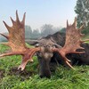 Логотип телеграм канала @trophyhuntingrb — Трофейная охота РБ
