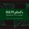 Logo of telegram channel tropical_plant — 🌿R&M plant’s🌿