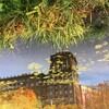 Логотип телеграм канала @tropicalgeometry — tropical saint petersburg