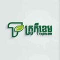 Logo saluran telegram tropicamasia — Tropicam Express Channel