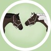 Логотип телеграм канала @troyan_horses — 𐂃 ⲧⲣⲟяⲏⲥⲕυύ ⲕⲟⲏь 𐂃