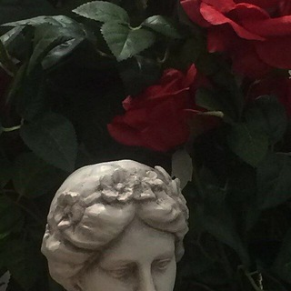 Логотип телеграм -каналу troyandochki — 🥀Сад моїх квітучих троянд