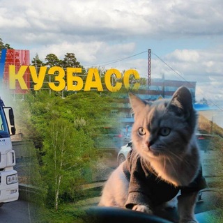 Логотип телеграм канала @trucker_cat — Ев и его друзья 😺😻