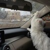 Логотип телеграм канала @true_thxs_public — [public] это правда