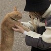 Логотип телеграм канала @truethin — это правда