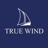 Логотип телеграм канала @truewind — TrueWind