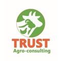 የቴሌግራም ቻናል አርማ trustagroconsult — Trust Agro-consulting and farming P.L.C ትረስት አግሮ-ኮንሰልቲንግ ኤንድ ፋርሚንግ ኃ/የተ/የግ/ማህበር