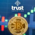 Logo saluran telegram trustinvestiing — TRUST INVESTING 🇬🇧