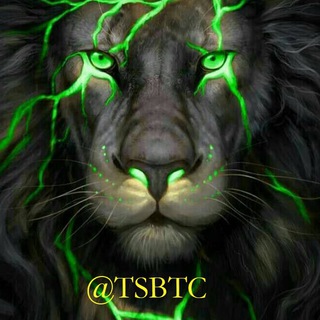 لوگوی کانال تلگرام ts_btc — TSBTC
