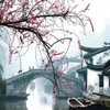 电报频道的标志 ts326 — 文案馆头像素材🇨🇳