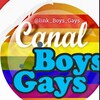 Logo of telegram channel ts_lgbt_boy — 🍷🌹Canal Boy Gays🌹🍷