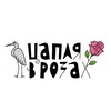 Логотип телеграм канала @tsaplyacafe — Кафе-караоке "Цапля в розах"