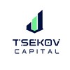 Logo of telegram channel tsekov_capital — Tsekov Capital