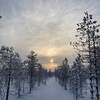 Логотип телеграм канала @tserkovnikov — m_tserkovnikov