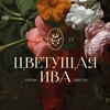 Логотип телеграм канала @tset_iva — ЦВЕТУЩАЯ ИВА | ЦВЕТЫ МЫТИЩИ
