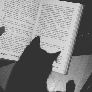 Логотип телеграм канала @tsitatydw — Dark Wisdom | Афоризмы, Литература
