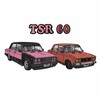 Logo of telegram channel tsr60pskovtgk — TSR 60
