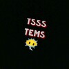 Логотип телеграм канала @tssstems — Silent's Tems😶‍🌫️
