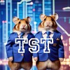 Логотип телеграм канала @tstinvest — TST|TwoStudentsTraders|Инвестиции, акции, прогнозы.