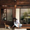 电报频道的标志 tsuk1mi — tsukimi | 月見