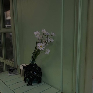 Логотип телеграм канала @tsvetok_pustynu — tsvetok.pustynu