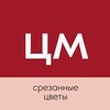 Логотип телеграм канала @tsvetomania_opt — ЦВЕТОМАНИЯ | Срезанные цветы 🌷🌹🌻