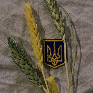 Логотип телеграм -каналу tsytaty_ukraine — цитати українською 💌