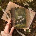 لوگوی کانال تلگرام tteelmma — ANAHEL.BOOK