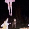 Логотип телеграм -каналу ttenebrises — tenebris