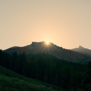 Логотип телеграм канала @tthelight — Солнечный заповедник