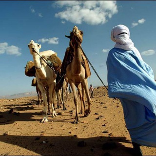 Логотип телеграм канала @tuareg — Туарег