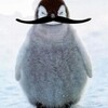 Logo of telegram channel tuficommunity — TuFi COMMUNITY🐧