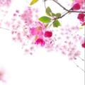 电报频道的标志 tuigsc — 🍉吃瓜头条《新闻|搞笑|爆料》9999.COM独家冠名