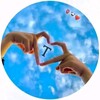 የቴሌግራም ቻናል አርማ tujimohammed8 — Tuji Mohammed Official ™️