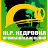 Логотип телеграм канала @tukedrovka — ТУ Кедровка