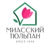 Логотип телеграм канала @tulip_zlat — Миасский Тюльпан | Цветы Златоуст | Доставка цветов в Златоусте