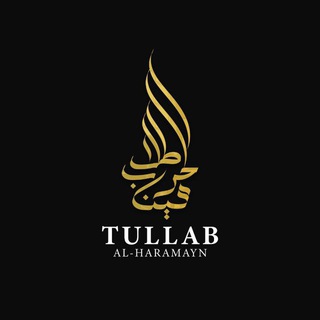 Логотип телеграм канала @tullab_academy — Академия «TULLAB»