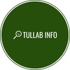 Логотип телеграм канала @tullabinfo — Студенты Каира