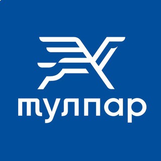 Telegram каналынын логотиби tulparcardkg — ТУЛПАР - Единая Транспортная Карта