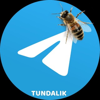 Telegram kanalining logotibi tundaliklar001 — TUNDALIK