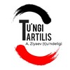 Лагатып тэлеграм-канала tungi_tartilis — TÚNGI TARTILIS