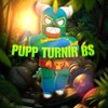 Логотип телеграм канала @turbs123 — PUPP TURNIR BS🏆 | турниры по бравл старс