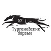 Логотип телеграм канала @turgenevskieborzie — Тургеневские бОрзые