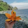 Логотип телеграм канала @turivihodnogodniavaninosvg — Выходной, организованный для вас!