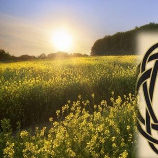 Логотип телеграм канала @turizm_putishestvie1 — 🌴 Туризм 🌴 Путешествие