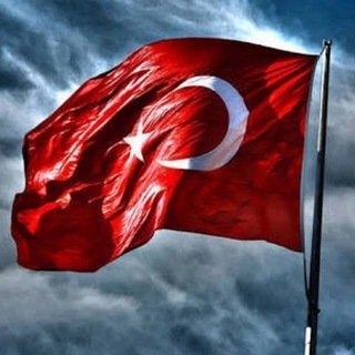 Telgraf kanalının logosu turk_30 — 🇦🇿 . ｲʊЯk . 🇹🇷
