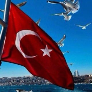 Telegram kanalining logotibi turk_tilini_organamz — Turk tilini o’rganamz