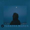 Logo saluran telegram turkcha_muzika_yangi_mp3_sokin — TURKCHA MUZICA 🦋